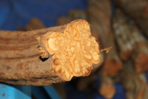 South America spiritual journey